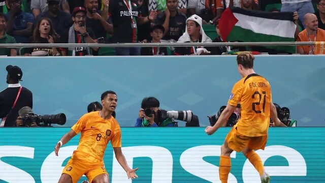 Na sua estreia em Copas, Gakpo (ajoelhado) marca o primeiro gol holandes no Qatar. (Foto: Reuters)